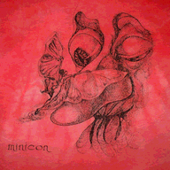 Small image of the front of what might be a Minicon 17 t-shirt