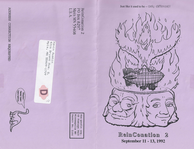 small image of the front and back covers of the Reinconation 2 progress report